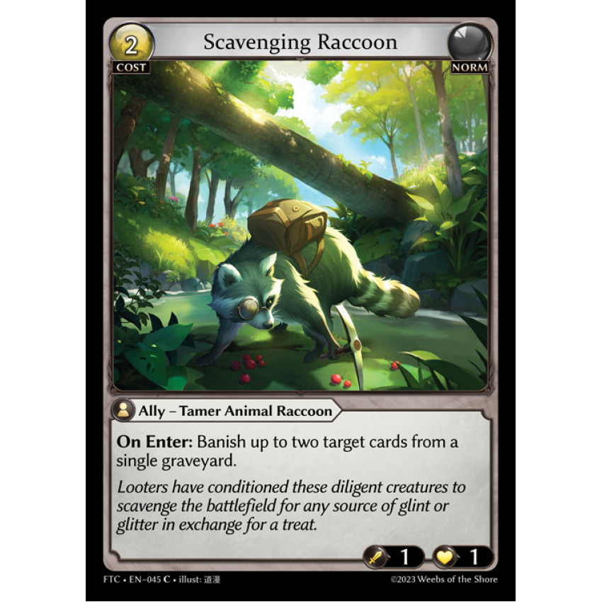 FTC-045 Scavenging Raccoon 